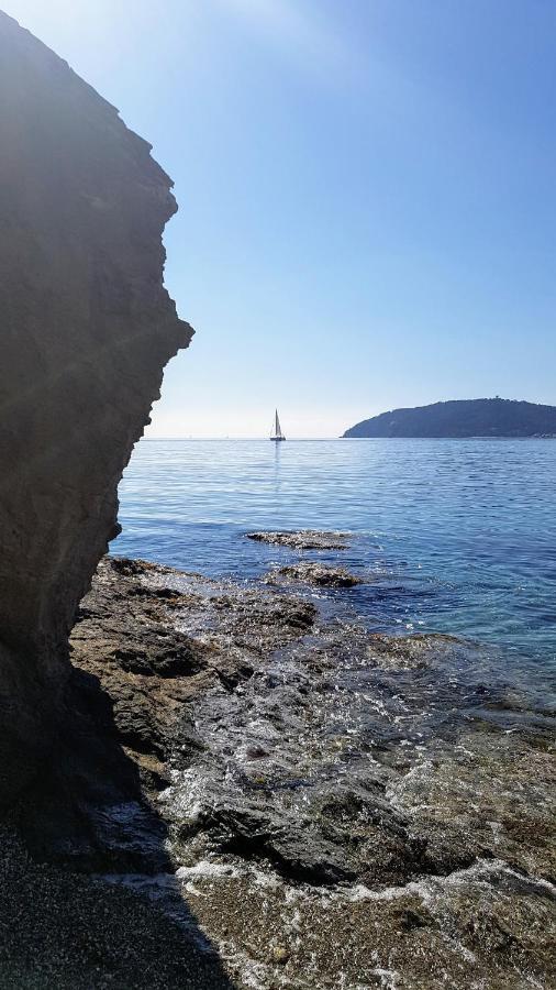 Studio 30 M2 500M Plages Mourillon 3 Personnes ツーロン エクステリア 写真